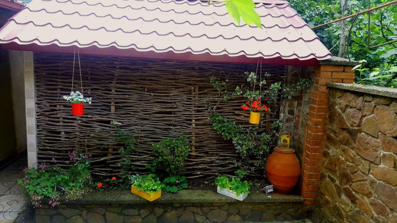 Green House In Batumi Kültér fotó